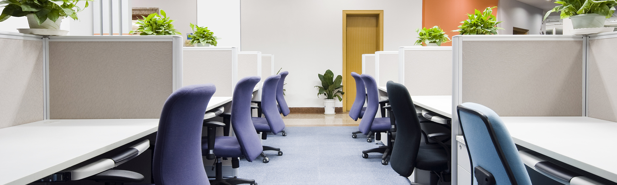Clean Office Space